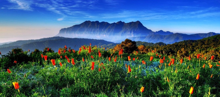 Screenshot №1 pro téma Spring has come to the mountains Thailand Chiang Dao 720x320