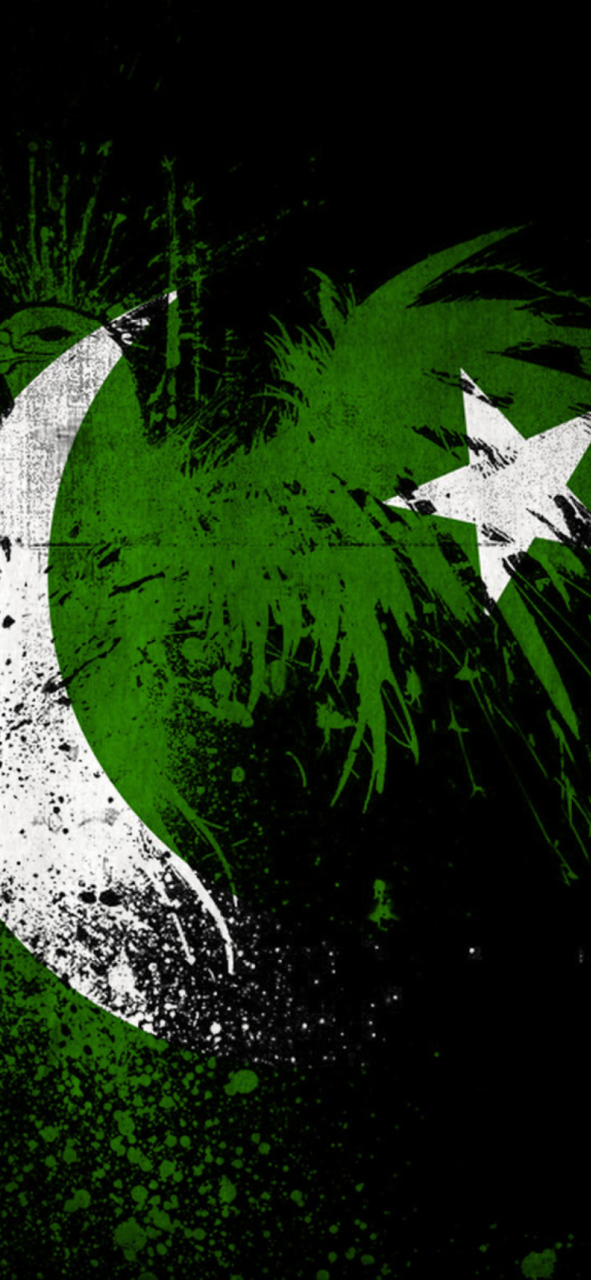 Sfondi Pakistan Flag 1170x2532