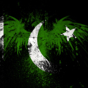 Pakistan Flag wallpaper 128x128