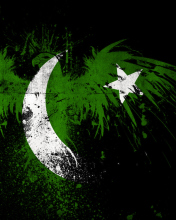 Обои Pakistan Flag 176x220