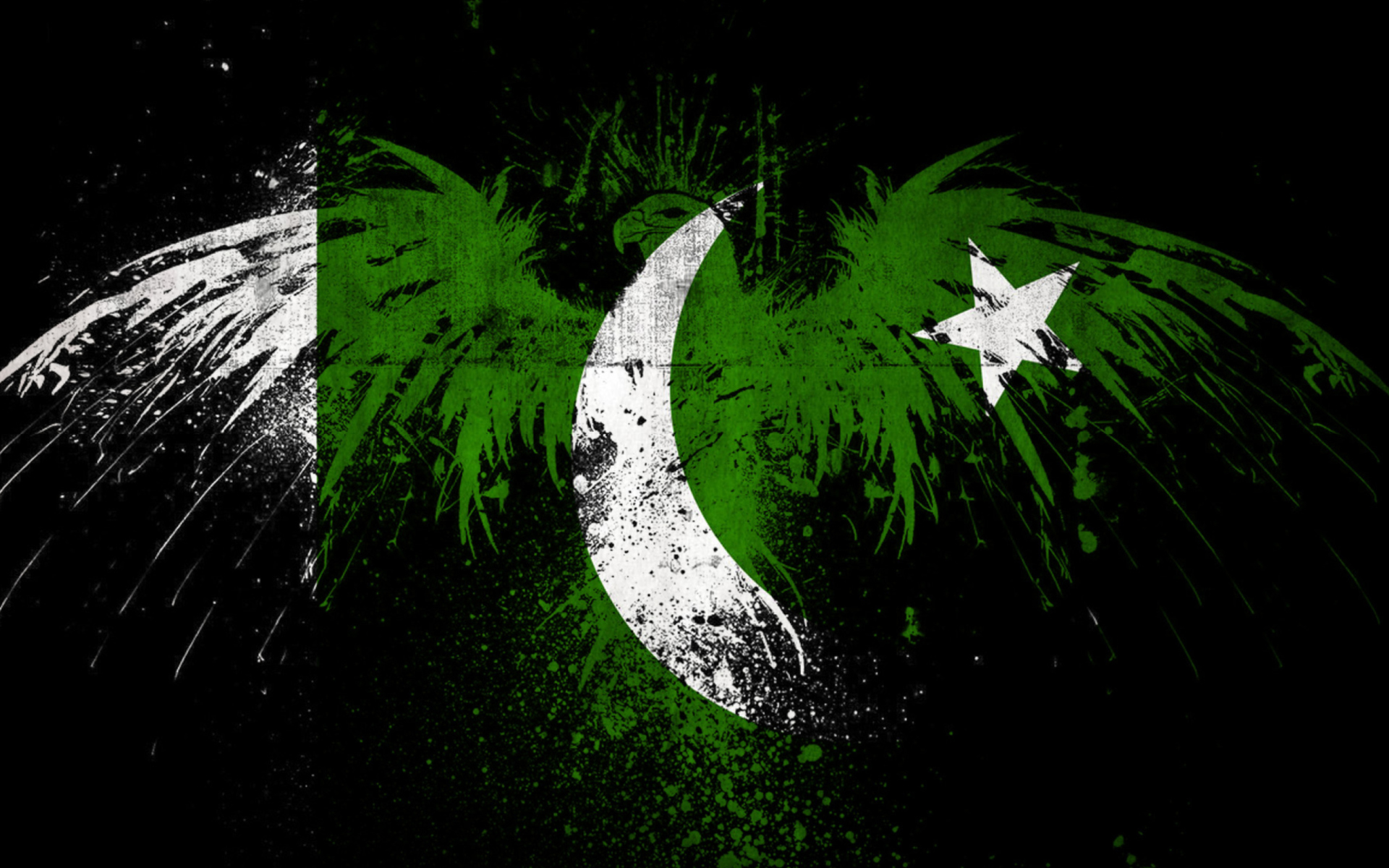 Kostenloses Pakistan Flag Wallpaper für Widescreen Desktop ...