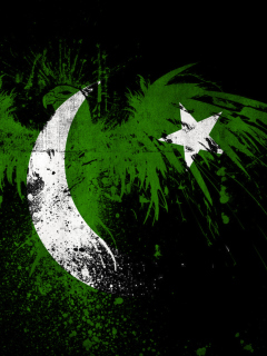 Обои Pakistan Flag 240x320