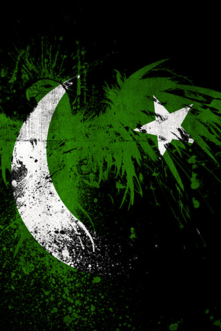 Das Pakistan Flag Wallpaper 320x480