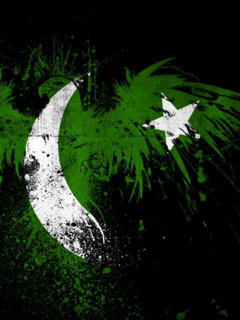 Sfondi Pakistan Flag 480x640