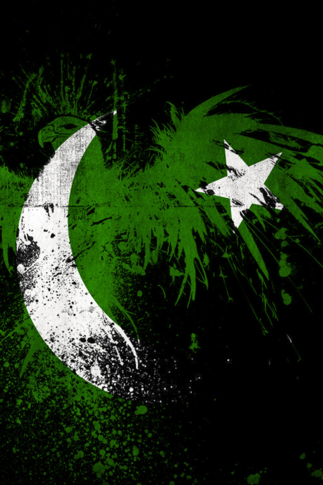 Pakistan Flag wallpaper 640x960