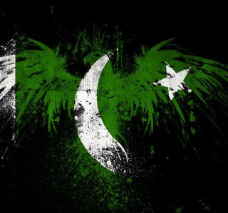 Pakistan Flag Picture for iPad