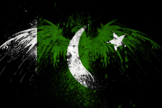 Pakistan Flag - Obrázkek zdarma pro Fullscreen Desktop 1024x768