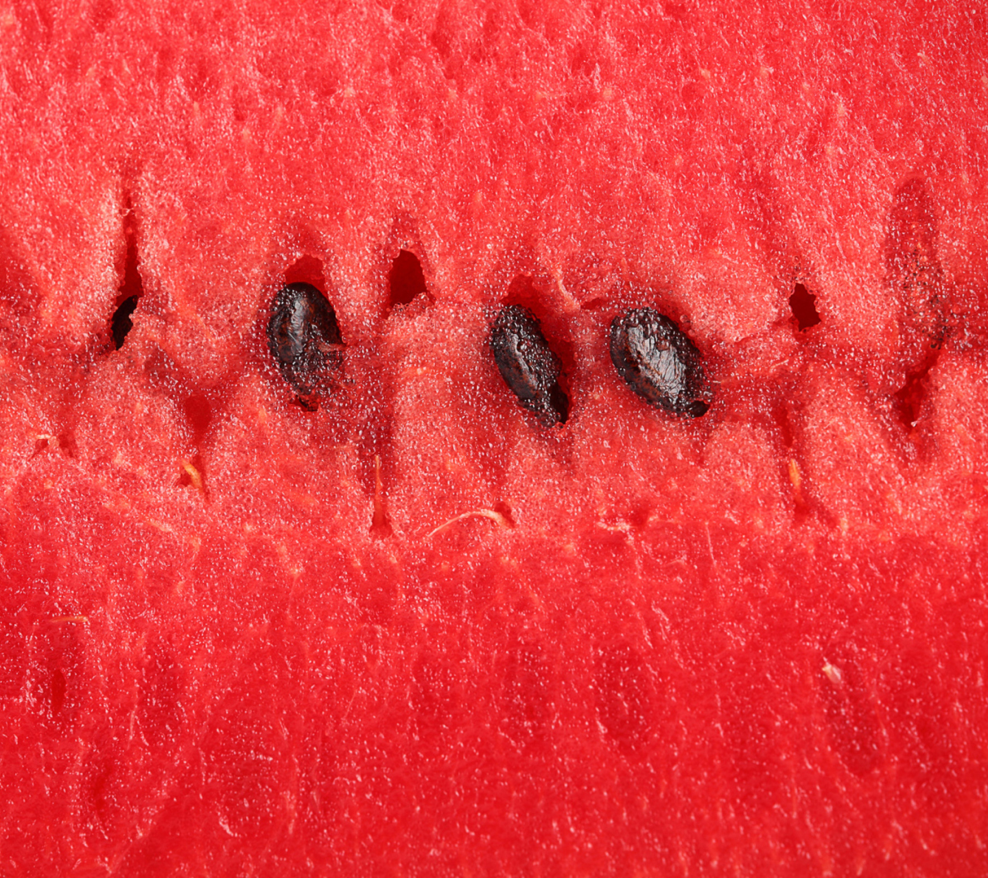 Sfondi Juicy Watermelon 1440x1280