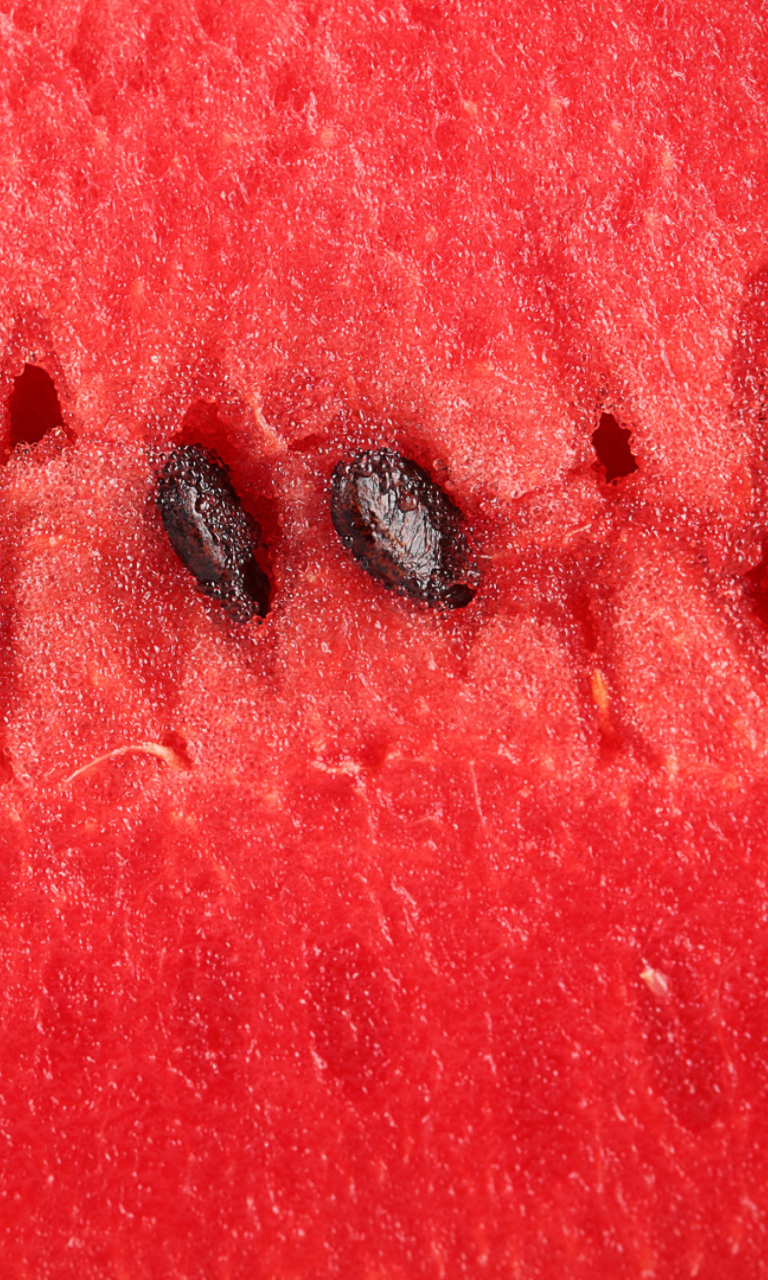 Das Juicy Watermelon Wallpaper 768x1280