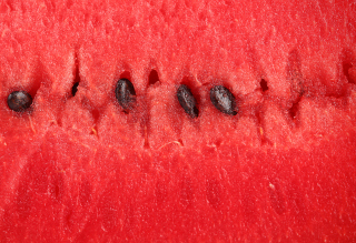 Free Juicy Watermelon Picture for Android, iPhone and iPad