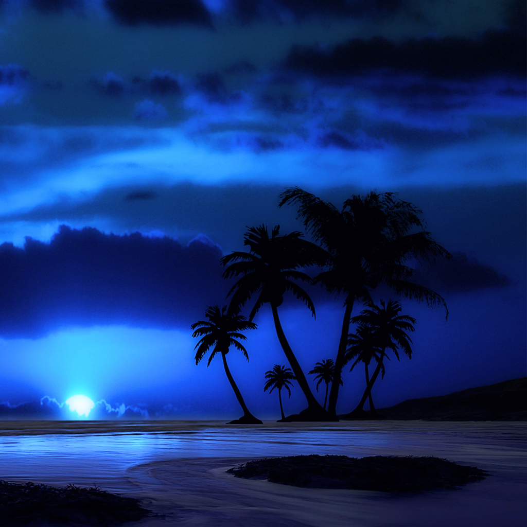Fondo de pantalla Palm Trees At Night 1024x1024