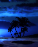 Fondo de pantalla Palm Trees At Night 128x160