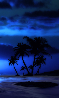 Screenshot №1 pro téma Palm Trees At Night 240x400