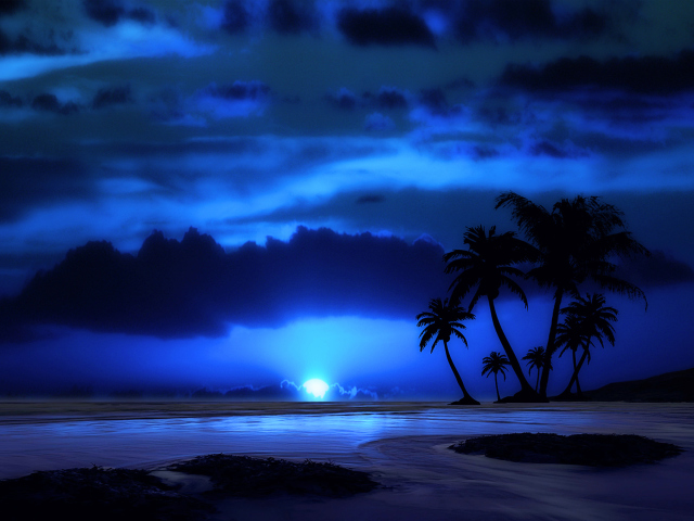 Screenshot №1 pro téma Palm Trees At Night 640x480