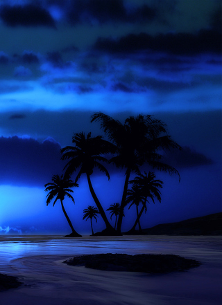 Palm Trees At Night - Obrázkek zdarma pro Nokia X3