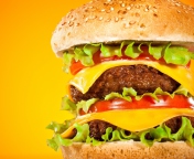 Sfondi Double Cheeseburger 176x144