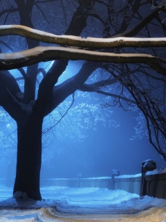 Screenshot №1 pro téma Snowy Night in Forest 240x320