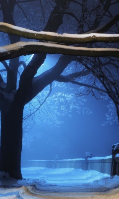 Screenshot №1 pro téma Snowy Night in Forest 240x400