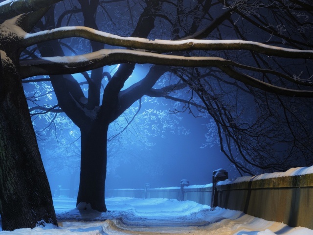 Das Snowy Night in Forest Wallpaper 640x480