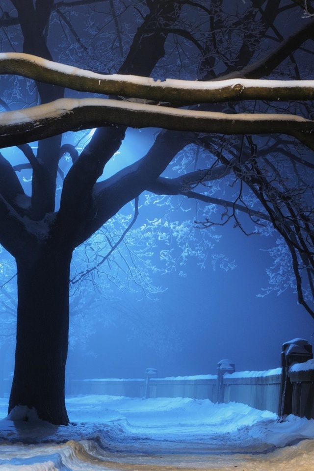 Das Snowy Night in Forest Wallpaper 640x960