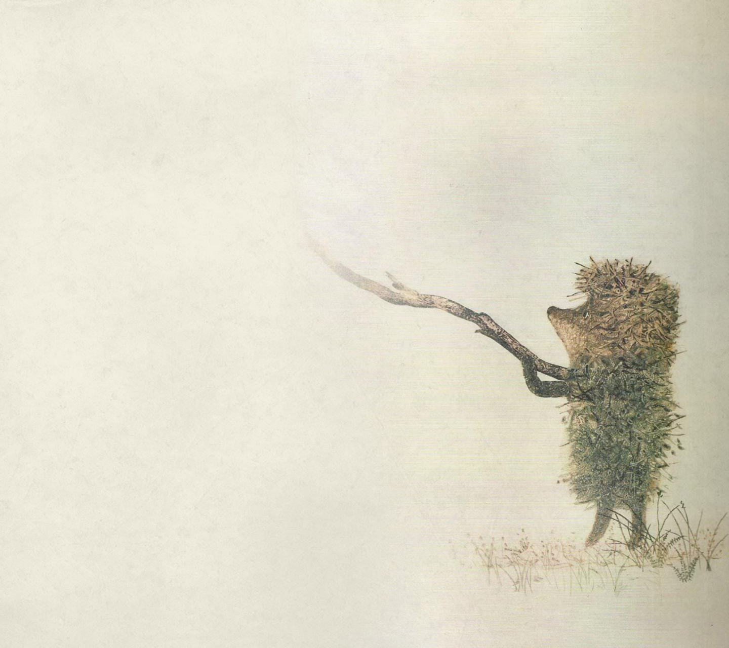 Sfondi Hedgehog In Fog Russian Cartoon 1440x1280