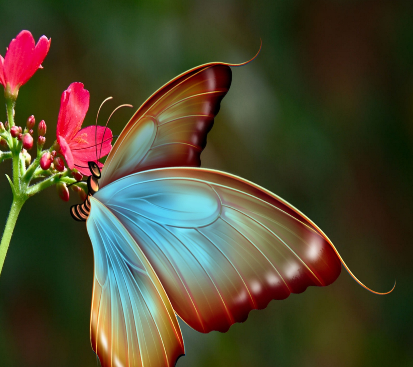 Big Butterfly screenshot #1 1440x1280
