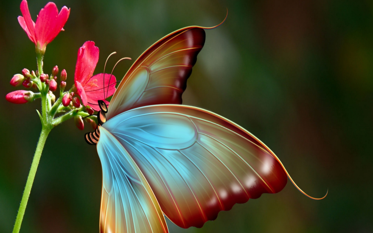 Screenshot №1 pro téma Big Butterfly 1440x900