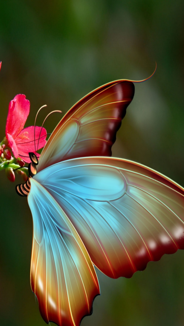 Das Big Butterfly Wallpaper 640x1136