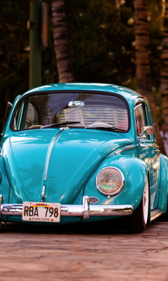 Beetle screenshot #1 240x400