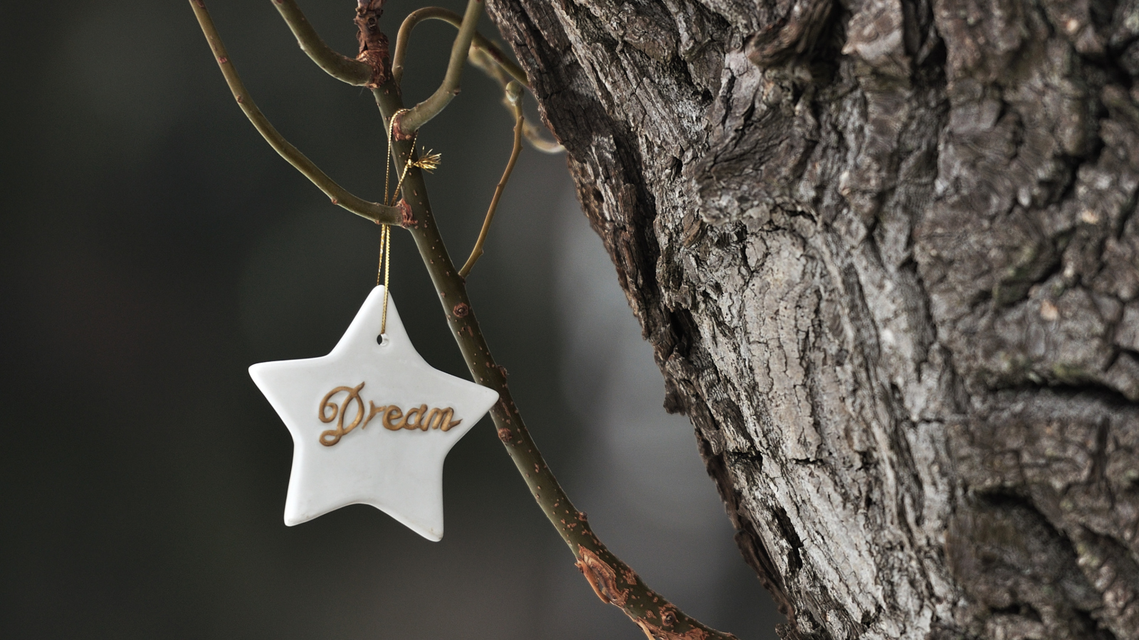 Dream Your Dream screenshot #1 1600x900