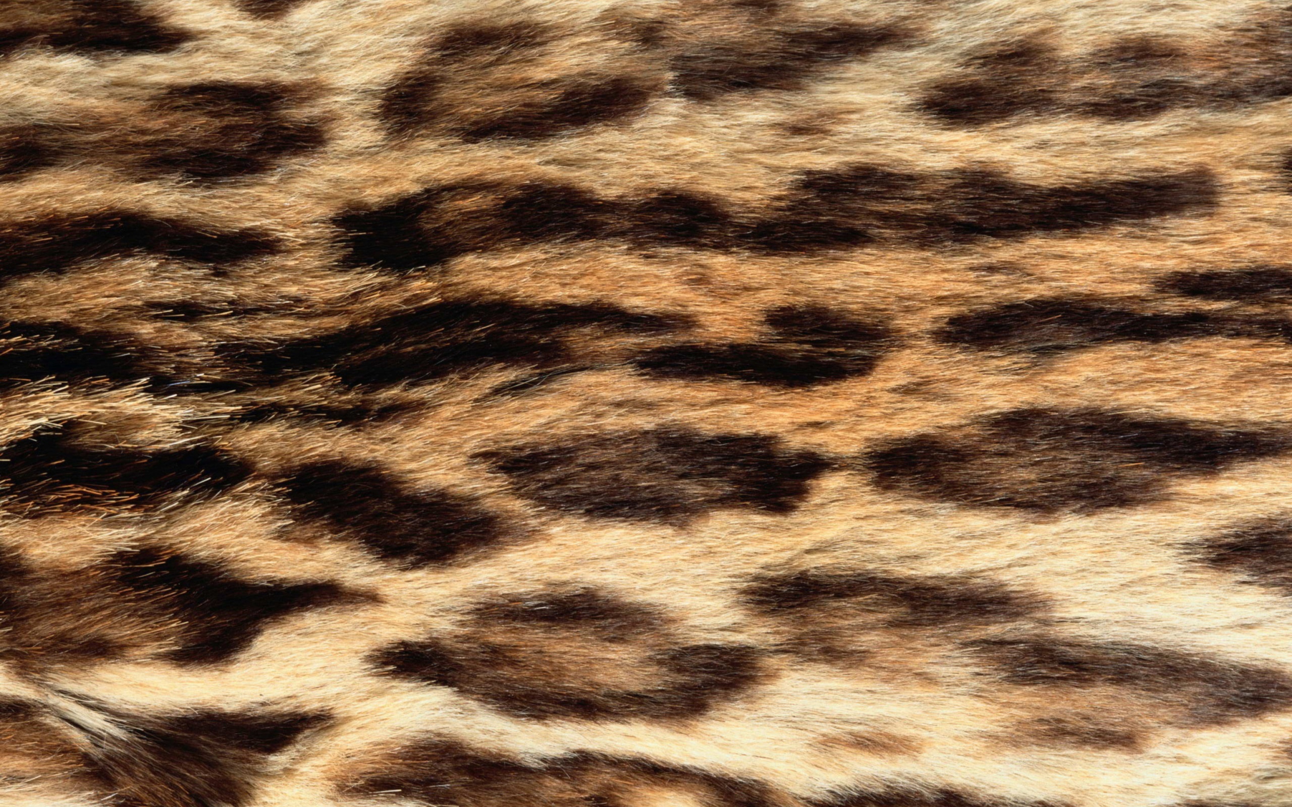 Das Animal Texture Wallpaper 2560x1600