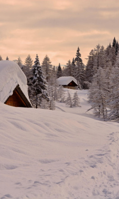 Sfondi Snowfall in Village 240x400