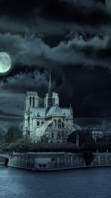 Fondo de pantalla Notre Dame De Paris At Night 360x640