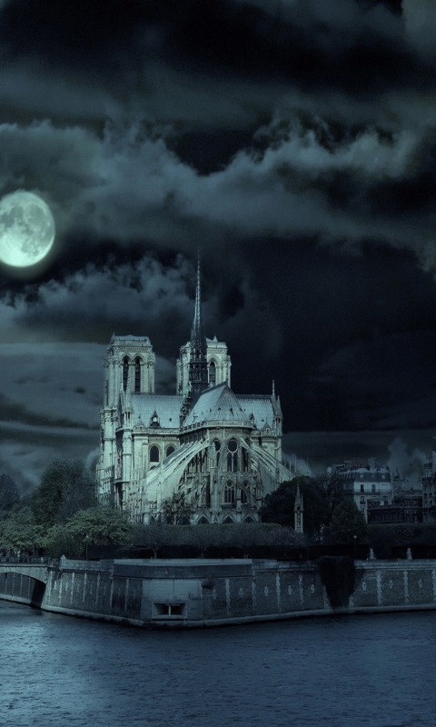 Screenshot №1 pro téma Notre Dame De Paris At Night 480x800