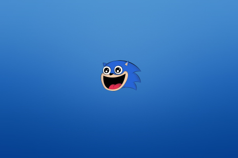 Screenshot №1 pro téma Sonic The Hedgehog 480x320