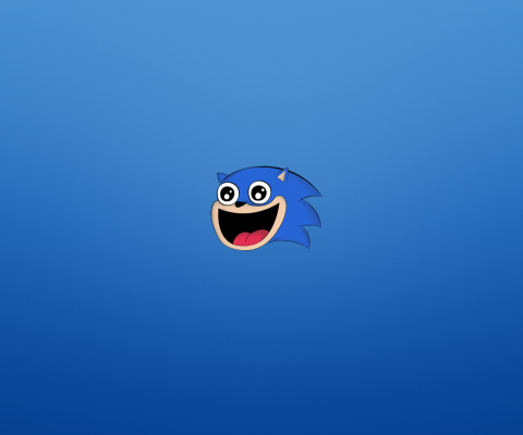 Screenshot №1 pro téma Sonic The Hedgehog 480x400