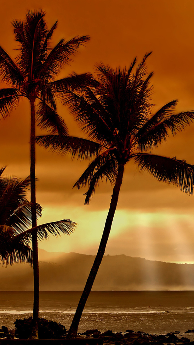 Acapulco Sunset screenshot #1 640x1136