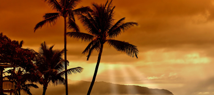 Fondo de pantalla Acapulco Sunset 720x320