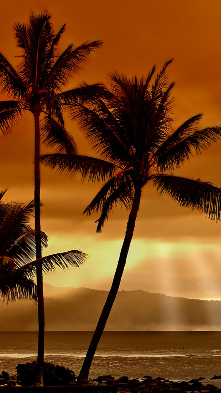 Acapulco Sunset screenshot #1 750x1334