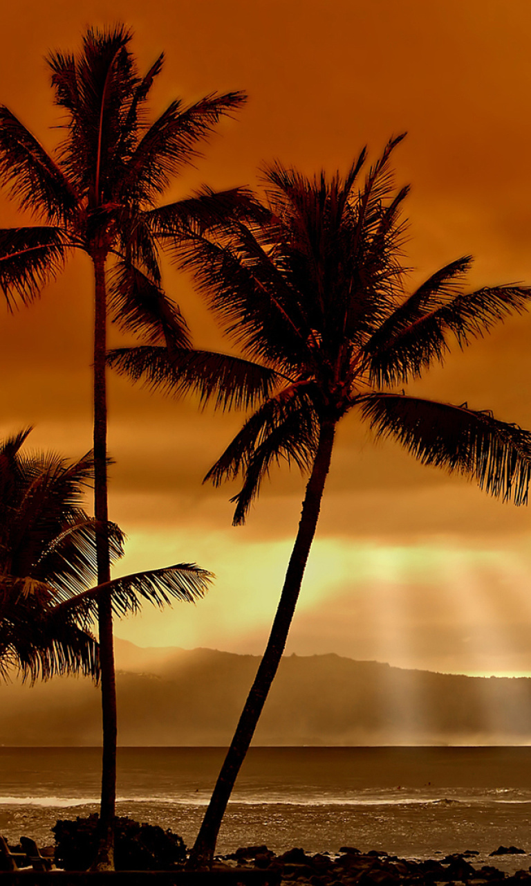 Das Acapulco Sunset Wallpaper 768x1280