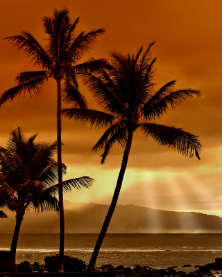 Acapulco Sunset - Obrázkek zdarma pro iPhone 6
