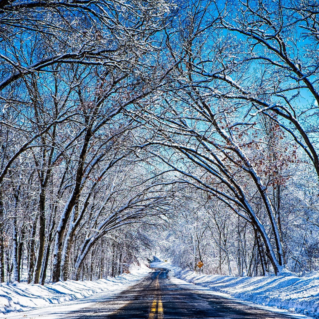 Winter Tunnel wallpaper 1024x1024