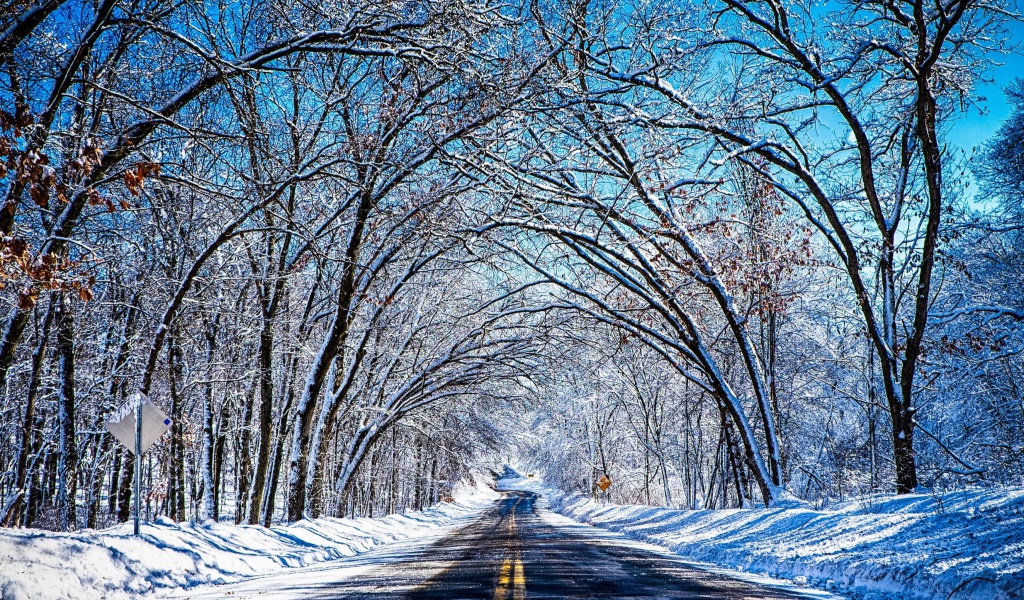 Winter Tunnel wallpaper 1024x600