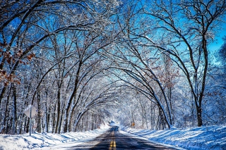 Winter Tunnel - Obrázkek zdarma pro Widescreen Desktop PC 1600x900