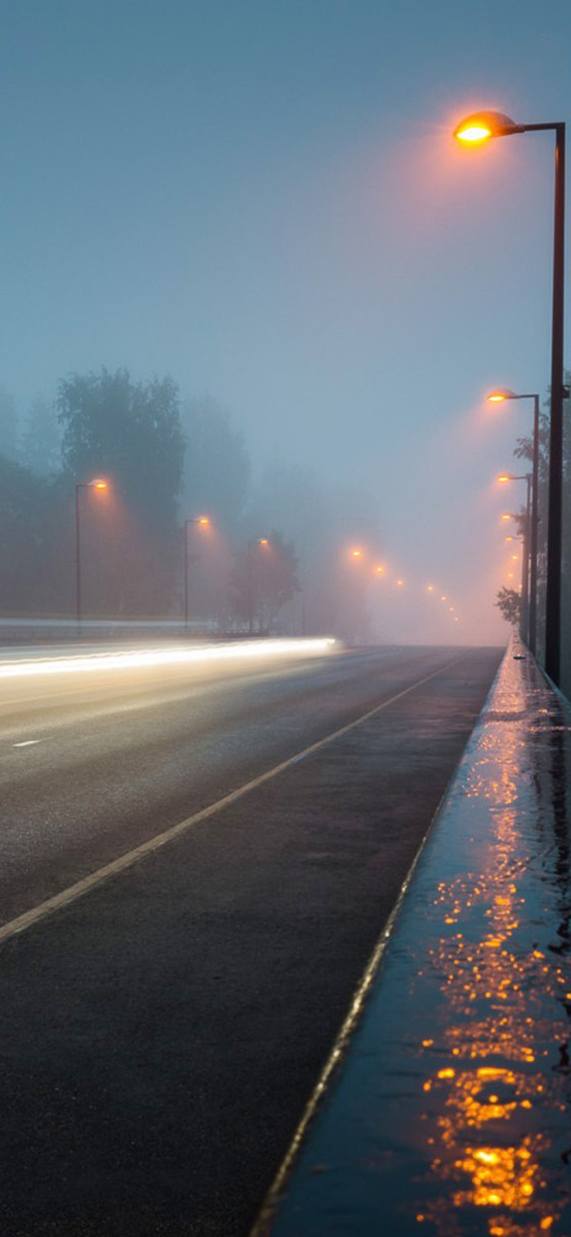 Road in Fog screenshot #1 1170x2532