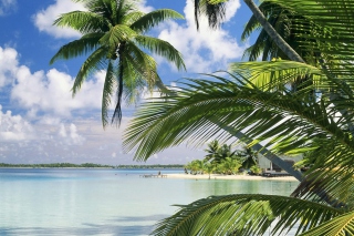 French Polynesia Island - Obrázkek zdarma 