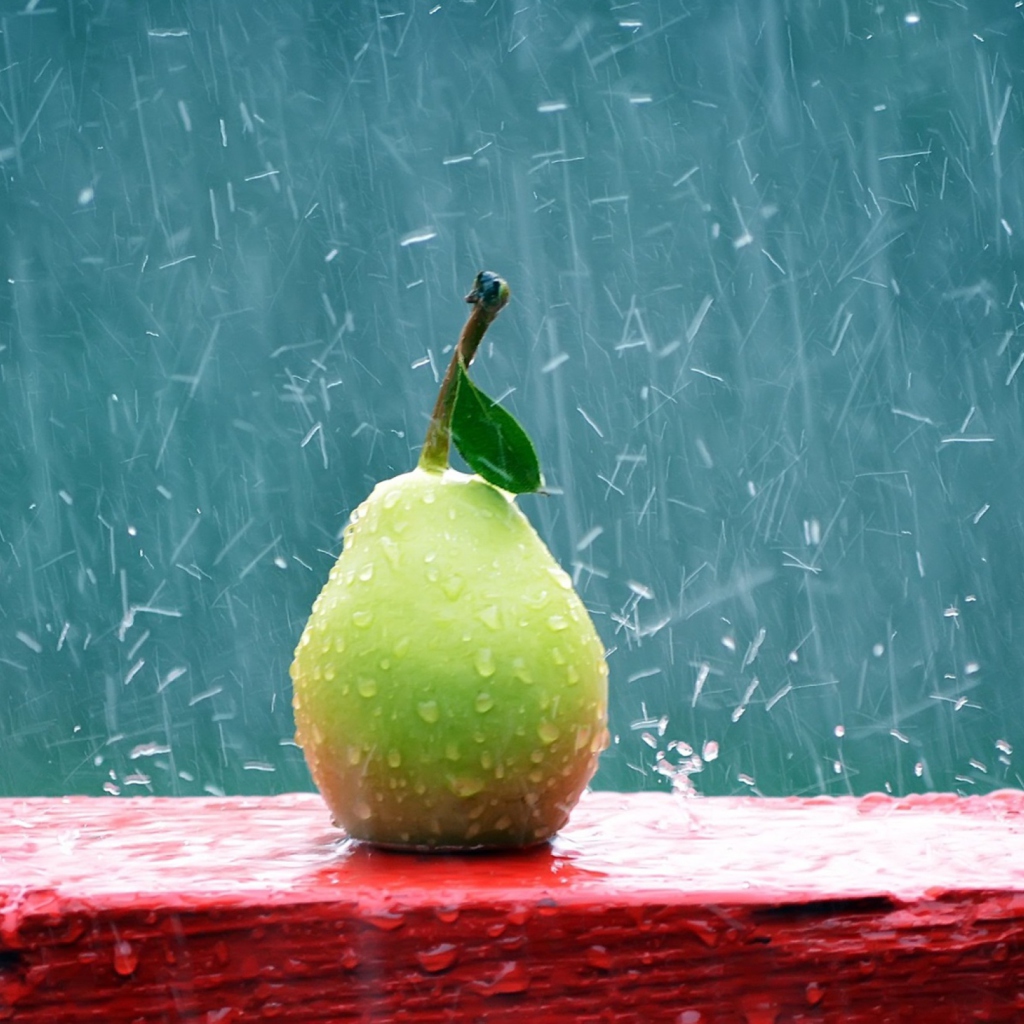 Das Green Pear In The Rain Wallpaper 1024x1024