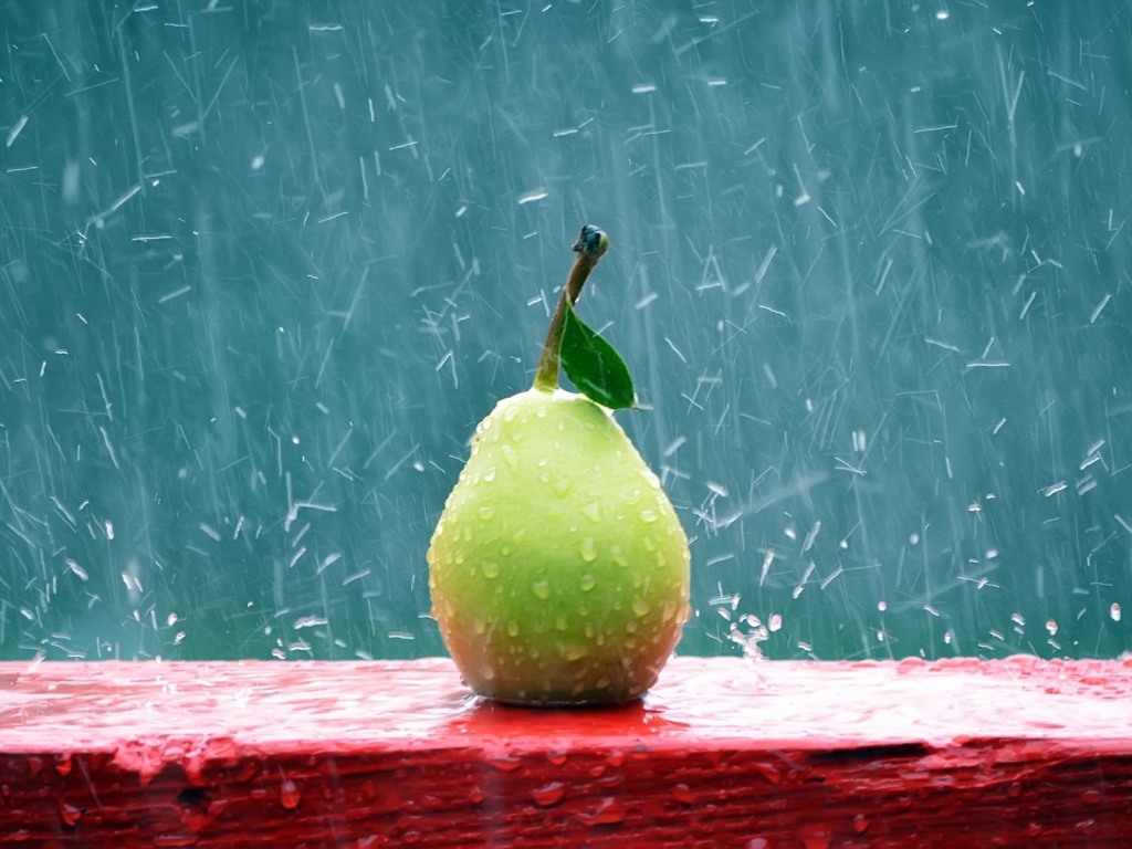 Sfondi Green Pear In The Rain 1024x768