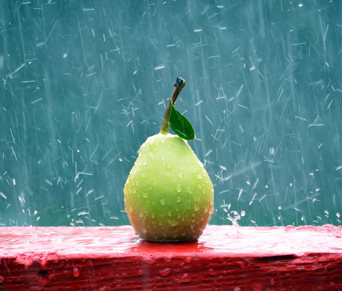 Обои Green Pear In The Rain 1200x1024