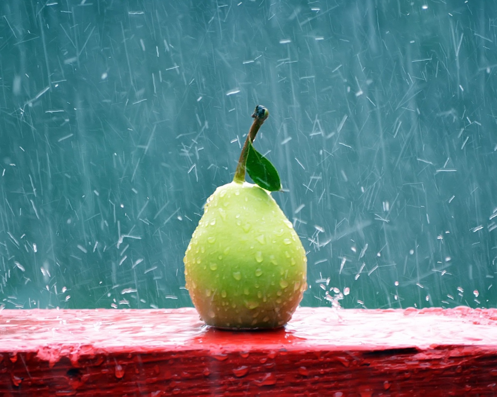 Обои Green Pear In The Rain 1600x1280